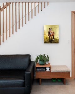 brave bronco painting print stairs couch