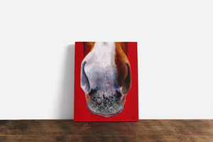 nose series 2nd canvas print