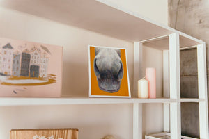 nose series 3rd painting print on shelf