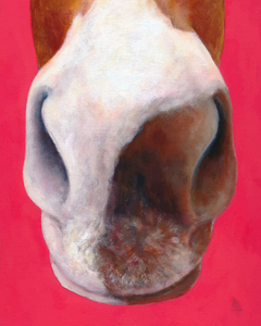 nose series 5th original painting