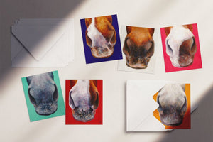 nose series set cards