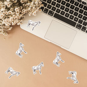 Horse & Pony Drawings Stickers