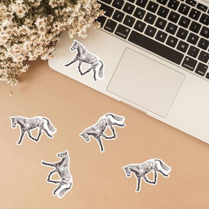 Horse & Pony Drawings Stickers