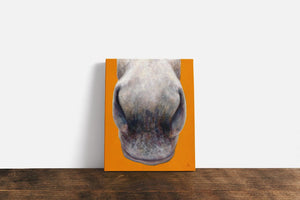 nose series 3rd canvas print