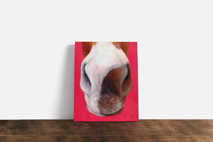 nose series 5th canvas print
