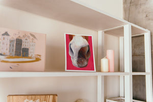 nose series 5th painting print on shelf