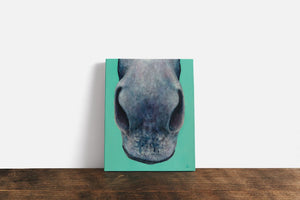 nose series 6th canvas print