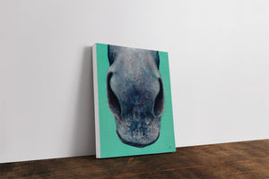 nose series 6th canvas print side